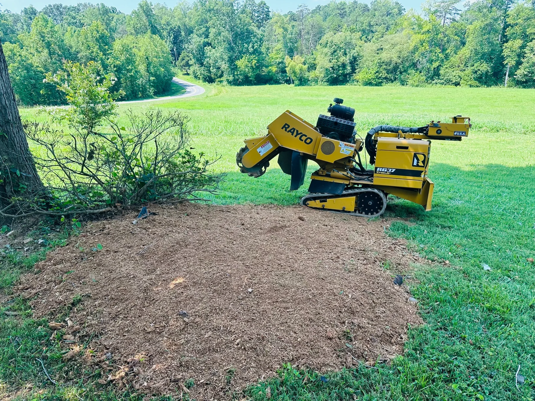 Completed residential stump grinding project by Iron Oak Landworks