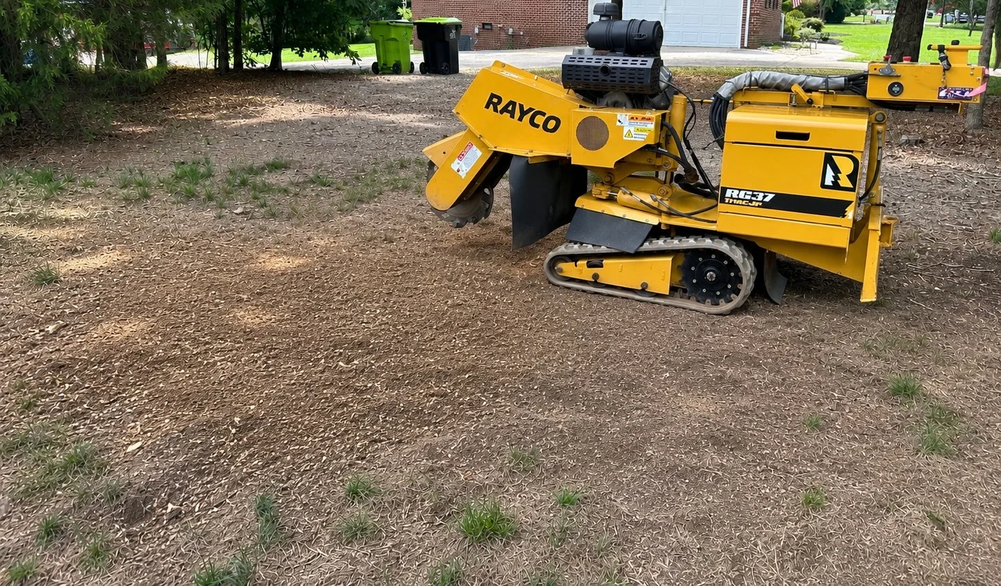Completed residential stump grinding project with Rayco RG37
